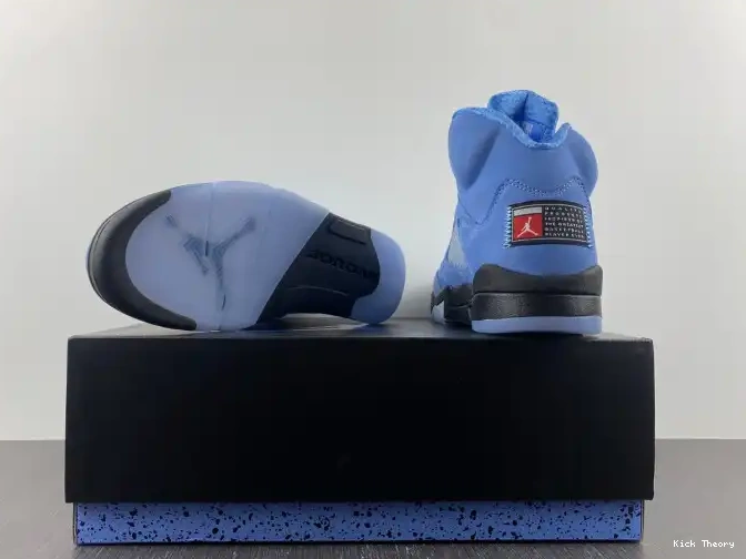 Kicktheory Air UNC 5 Jordan DV1310-401 0530